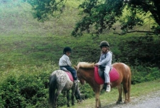  Reiten für Kinder im 64 